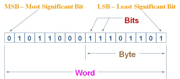 Binary Term
                  diagram